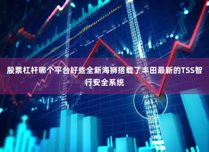 股票杠杆哪个平台好些全新海狮搭载了丰田最新的TSS智行安全系统
